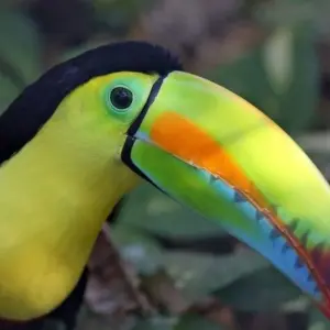 Explore Ruins, reef and rainforest for 8 days with DIAMIR Erlebnisreisen and discover unforgettable experiences - Photo 11