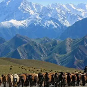 Explore Pure Nature along the Pamir Highway for 20 days with DIAMIR Erlebnisreisen and discover unforgettable experiences - Photo 11