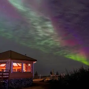 Explore Autumn Lodge Safari in Polar Bear Country for 11 days with DIAMIR Erlebnisreisen and discover unforgettable experiences - Photo 9