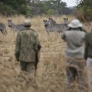 Explore Along the Trade Route (from Livingstone to Lilongwe) for 12 days with DIAMIR Erlebnisreisen and discover unforgettable experiences - Photo 10