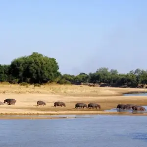 Explore Along the Trade Route (from Livingstone to Lilongwe) for 12 days with DIAMIR Erlebnisreisen and discover unforgettable experiences - Photo 11