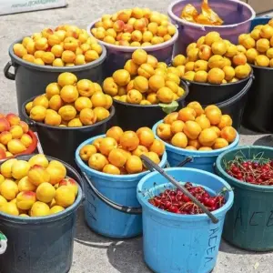 Explore In the Land of Equestrian Nomads for 18 days with DIAMIR Erlebnisreisen and discover unforgettable experiences - Photo 2