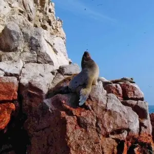 Explore In the Realm of the Inca for 19 days with DIAMIR Erlebnisreisen and discover unforgettable experiences - Photo 2