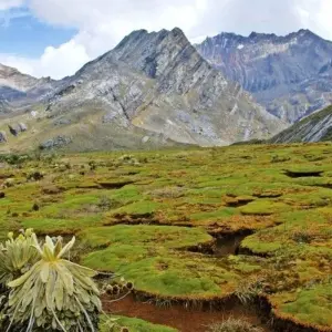 Explore From Glacial Lagoons to the Guardians of the Lost City for 18 days with DIAMIR Erlebnisreisen and discover unforgettable experiences - Photo 4