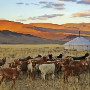 Explore Visit to the Legendary Empire of the Khans and Equestrian Nomads for 22 days with DIAMIR Erlebnisreisen and discover unforgettable experiences - Photo 5