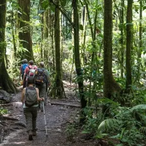Explore Costa Rica's West: Between Dream Beaches and Pure Wilderness for 16 days with DIAMIR Erlebnisreisen and discover unforgettable experiences - Photo 5
