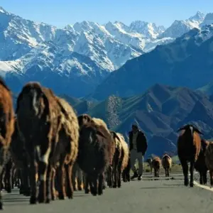 Explore In the Land of Equestrian Nomads for 18 days with DIAMIR Erlebnisreisen and discover unforgettable experiences - Photo 6