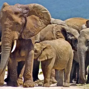 Explore One World in One Country for 21 days with DIAMIR Erlebnisreisen and discover unforgettable experiences - Photo 4