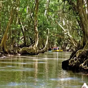 Explore Volcanoes, Whales and Pirate Bays for 14 days with DIAMIR Erlebnisreisen and discover unforgettable experiences - Photo 2