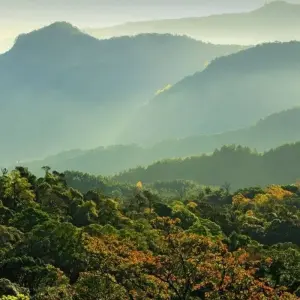 Explore Temples, Chedi and the Golden Triangle for 5 days with DIAMIR Erlebnisreisen and discover unforgettable experiences - Photo 5