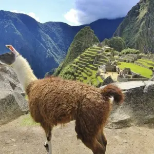 Explore In the Realm of the Inca for 19 days with DIAMIR Erlebnisreisen and discover unforgettable experiences - Photo 5