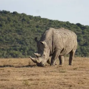 Explore One World in One Country for 21 days with DIAMIR Erlebnisreisen and discover unforgettable experiences - Photo 5