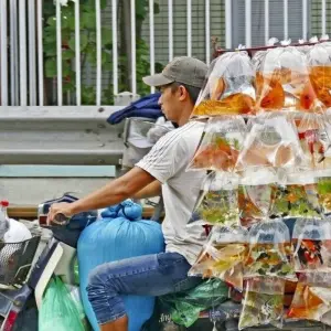 Explore A guest of Uncle Ho and Miss Saigon for 12 days with DIAMIR Erlebnisreisen and discover unforgettable experiences - Photo 6