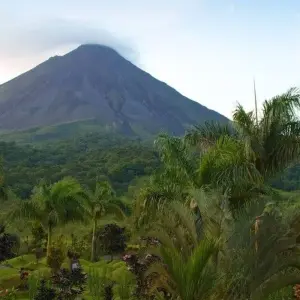 Explore Costa Rica's West: Between Dream Beaches and Pure Wilderness for 16 days with DIAMIR Erlebnisreisen and discover unforgettable experiences - Photo 7