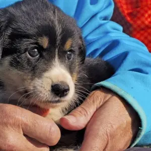 Explore Homestay Trekking in the South of the Country for 8 days with DIAMIR Erlebnisreisen and discover unforgettable experiences - Photo 2