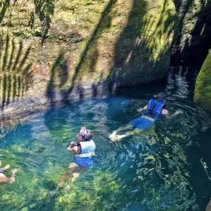 Explore Volcanoes, Whales and Pirate Bays for 14 days with DIAMIR Erlebnisreisen and discover unforgettable experiences - Photo 3