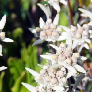 Explore In the Land of Equestrian Nomads for 18 days with DIAMIR Erlebnisreisen and discover unforgettable experiences - Photo 8