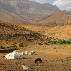 Explore M'Goun, Mint Tea and Medinas for 14 days with DIAMIR Erlebnisreisen and discover unforgettable experiences - Photo 2