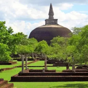 Explore Leopards and Lion Rocks for 14 days with DIAMIR Erlebnisreisen and discover unforgettable experiences - Photo 2