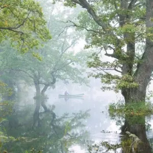 Explore Wild Beauty in the Baltics - Moors, Forests, Baltic Islands for 8 days with DIAMIR Erlebnisreisen and discover unforgettable experiences - Photo 2