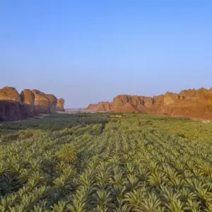 Explore Highlights of Saudi Arabia for 8 days with DIAMIR Erlebnisreisen and discover unforgettable experiences - Photo 6