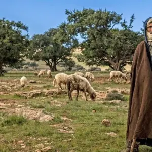 Explore M'Goun, Mint Tea and Medinas for 14 days with DIAMIR Erlebnisreisen and discover unforgettable experiences - Photo 3