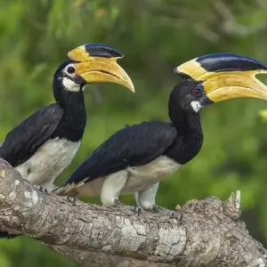 Explore Leopards and Lion Rocks for 14 days with DIAMIR Erlebnisreisen and discover unforgettable experiences - Photo 3