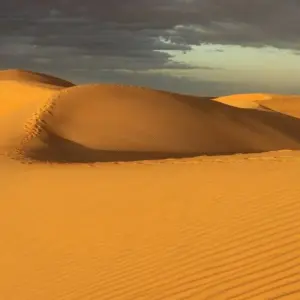 Explore In the eye of the Sahara for 12 days with DIAMIR Erlebnisreisen and discover unforgettable experiences - Photo 6