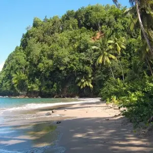 Explore Volcanoes, Whales and Pirate Bays for 14 days with DIAMIR Erlebnisreisen and discover unforgettable experiences - Photo 6