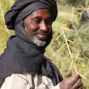 Explore In the eye of the Sahara for 12 days with DIAMIR Erlebnisreisen and discover unforgettable experiences - Photo 7