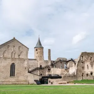 Explore Wild Beauty in the Baltics - Moors, Forests, Baltic Islands for 8 days with DIAMIR Erlebnisreisen and discover unforgettable experiences - Photo 4