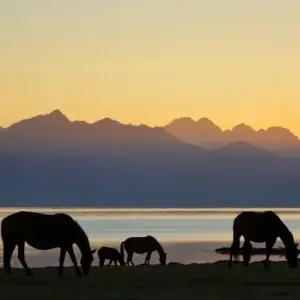 Explore In the Land of Equestrian Nomads for 18 days with DIAMIR Erlebnisreisen and discover unforgettable experiences - Photo 11