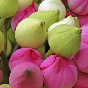 Explore Temples, Chedi and the Golden Triangle for 5 days with DIAMIR Erlebnisreisen and discover unforgettable experiences - Photo 9