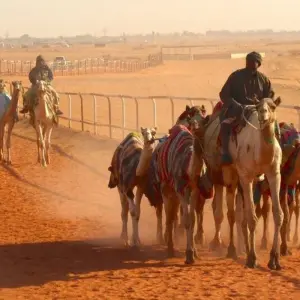 Explore In the Kingdom of Sa'ud for 14 days with DIAMIR Erlebnisreisen and discover unforgettable experiences - Photo 9