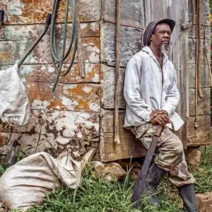 Explore Volcanoes, Whales and Pirate Bays for 14 days with DIAMIR Erlebnisreisen and discover unforgettable experiences - Photo 7