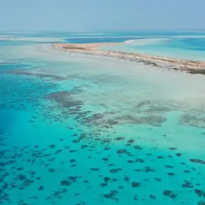 Explore Highlights of Saudi Arabia for 8 days with DIAMIR Erlebnisreisen and discover unforgettable experiences - Photo 9