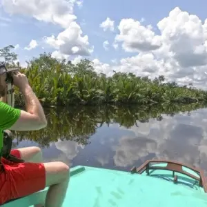 Explore Orangutans, Dragons and Volcanoes for 17 days with DIAMIR Erlebnisreisen and discover unforgettable experiences - Photo 10