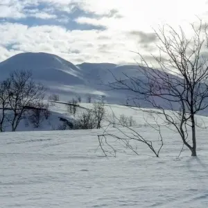 Explore Husky Winter Dream: Classic for 8 days with DIAMIR Erlebnisreisen and discover unforgettable experiences - Photo 2