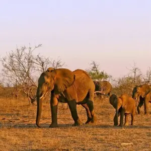 Explore One World in One Country for 21 days with DIAMIR Erlebnisreisen and discover unforgettable experiences - Photo 11