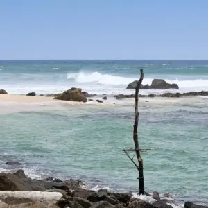 Explore Leopards and Lion Rocks for 14 days with DIAMIR Erlebnisreisen and discover unforgettable experiences - Photo 7