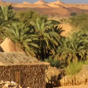 Explore In the eye of the Sahara for 12 days with DIAMIR Erlebnisreisen and discover unforgettable experiences - Photo 10