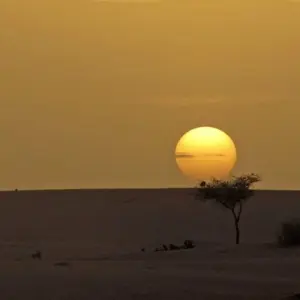 Explore In the eye of the Sahara for 12 days with DIAMIR Erlebnisreisen and discover unforgettable experiences - Photo 11