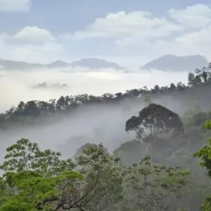 Explore Leopards and Lion Rocks for 14 days with DIAMIR Erlebnisreisen and discover unforgettable experiences - Photo 9