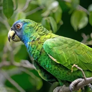 Explore Volcanoes, Whales and Pirate Bays for 14 days with DIAMIR Erlebnisreisen and discover unforgettable experiences - Photo 11