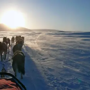 Explore Husky Winter Dream: Classic for 8 days with DIAMIR Erlebnisreisen and discover unforgettable experiences - Photo 5