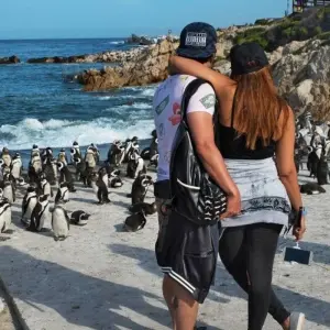 Explore Waves, Wine and Wilderness for 15 days with DIAMIR Erlebnisreisen and discover unforgettable experiences - Photo 5