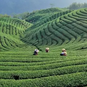 Explore Ilha Formosa - Between Confucius and Jade Mountain for 16 days with DIAMIR Erlebnisreisen and discover unforgettable experiences - Photo 2