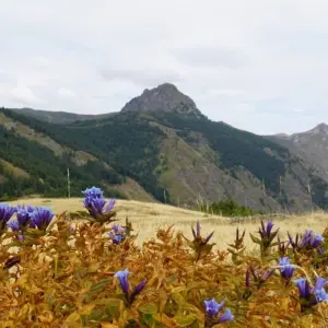 Explore Peaks of Balkan - Mountain Hiking at its Best with Ascent of Trekufiri (2366 m) for 8 days with DIAMIR Erlebnisreisen and discover unforgettable experiences - Photo 3