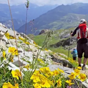 Explore Homestay Trekking in the South of the Country for 8 days with DIAMIR Erlebnisreisen and discover unforgettable experiences - Photo 11