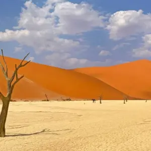 Explore Between Sossusvlei and Etosha for 13 days with DIAMIR Erlebnisreisen and discover unforgettable experiences - Photo 2